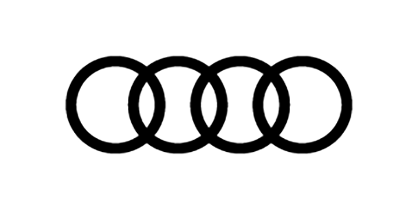 Professionelle Audi Motordiagnose in Lage - MotorCenter24